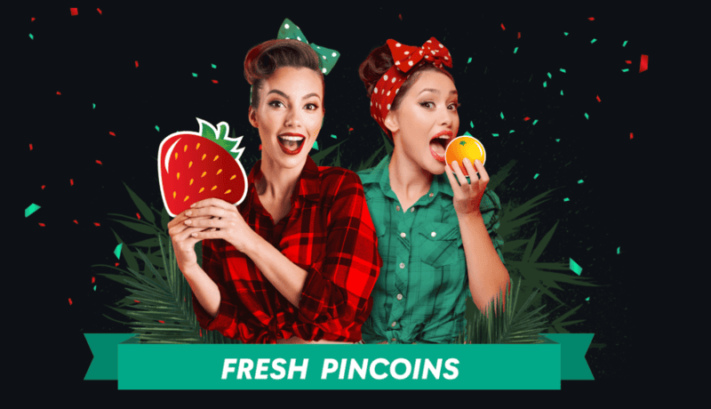 PinUp loyallıq sistemində pincoinlər